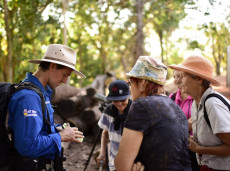 Small group birding tours & social events in Darwin with Luke Paterson