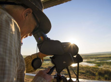 Australian bushfires and birdwatching