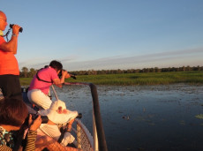 Yellow Water birdwatching cruises with Luke Paterson