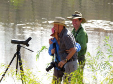 Private birdwatching tours for target species