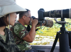 Private bird photography cruises