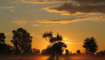 New Ownership for NT Bird Specialists