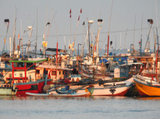 Sri Lankan fishing boats at sunrise