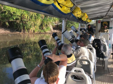 Bird in flight techniques learnt on our photography cruises