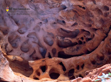 Stunning water-sculpted ceiling formations in Cathedral Gorge
