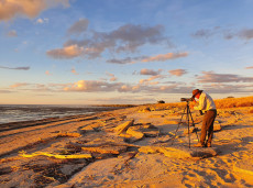 Birding the coastal key biodiversity areas in the Gulf of Carpentaria