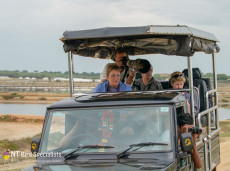 Birdwatching safari in Bundala National Park