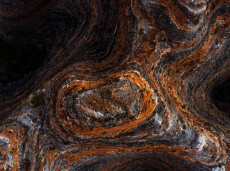 'Tiger stripe' bands of algae on sandstone