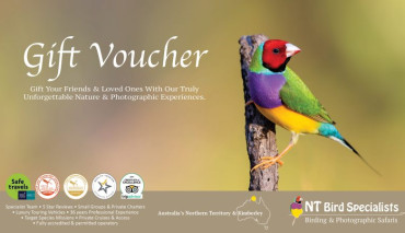 Unique Gift Vouchers – Gift Something Wild They’ll Truly Love!