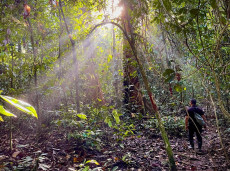 HIking at Tabin Wildlife Resort, Borneo