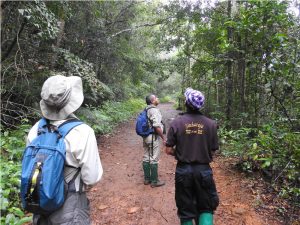 Park Rangers guide & escort us in Sinharaja Forest Reserve
