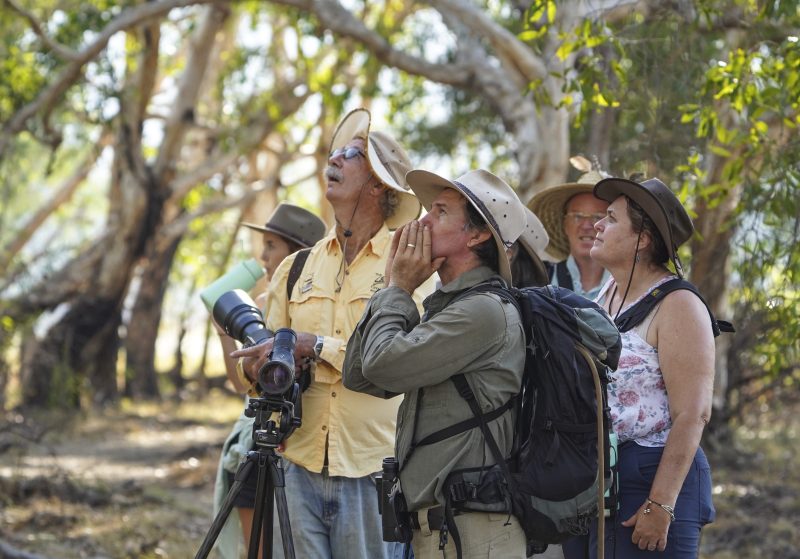 Specialist bird guide Luke Paterson calls in the birds at Anbangbang Billabong during tours in Kakadu National Park.